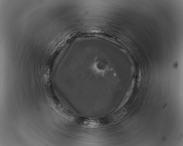 X0000116010559200912101344