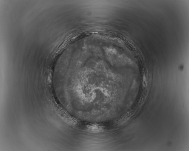 X0000116010561200912101344