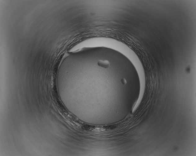 X0000116010562200912101344