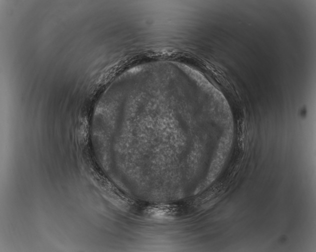 X0000116010563200912101344