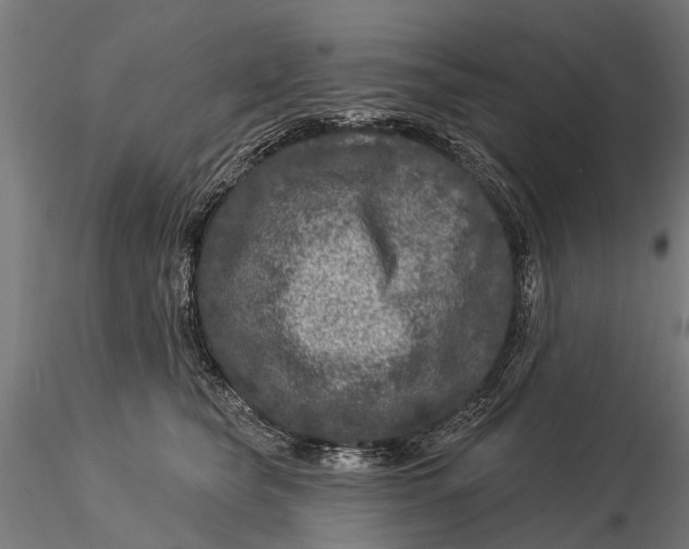 X0000116010565200912101344