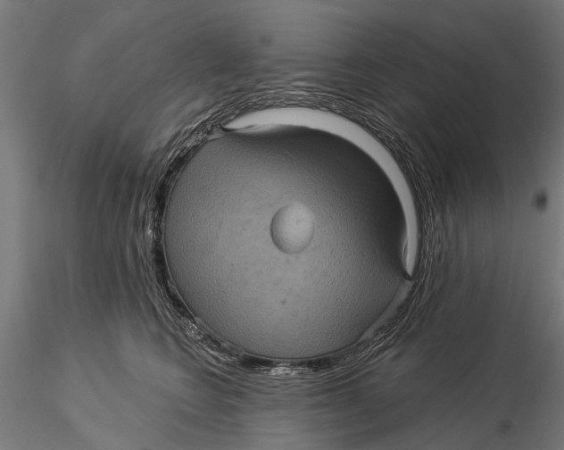 X0000116010566200912101344