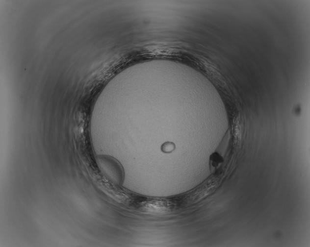 X0000116010567200912101344