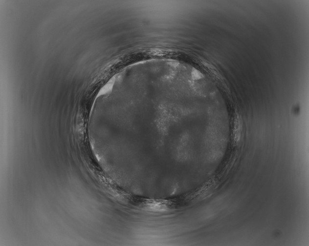 X0000116010569200912101344