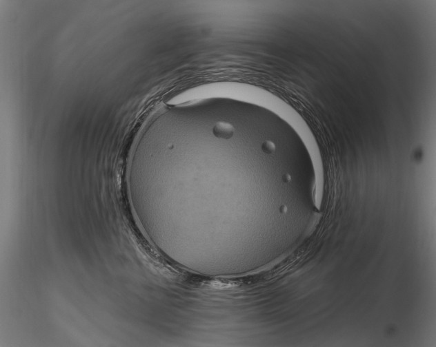 X0000116010570200912101344