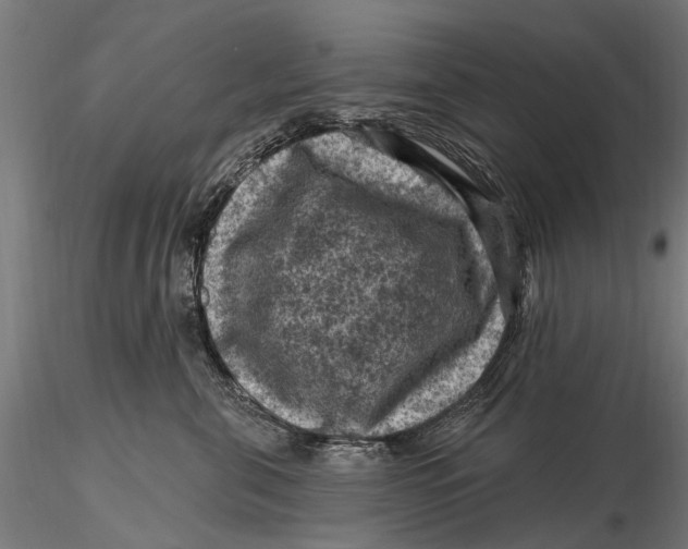 X0000116010571200912101344