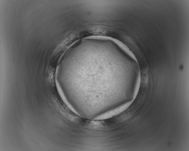 X0000116010573200912101344