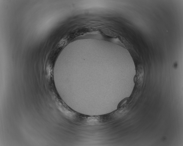 X0000116010574200912101344