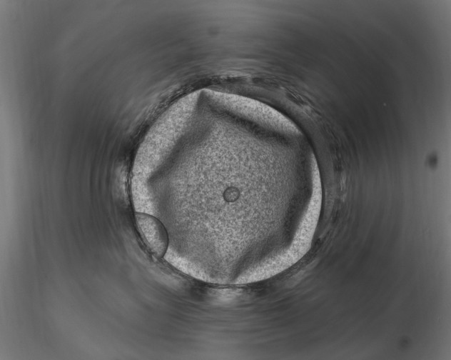 X0000116010575200912101344