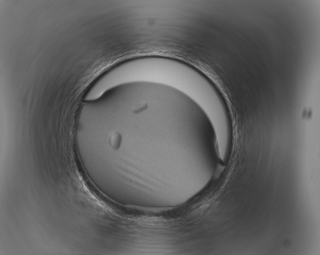 X0000116010577200912101343