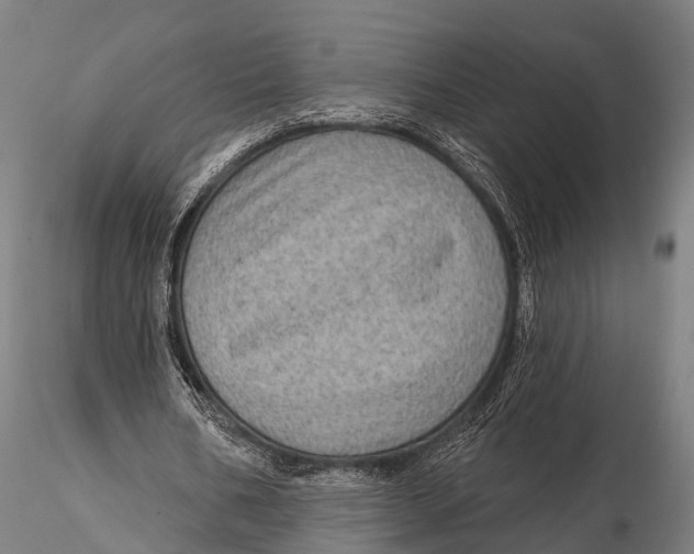 X0000116010578200912101343