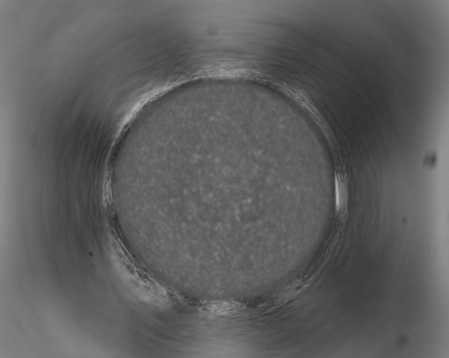 X0000116010579200912101343