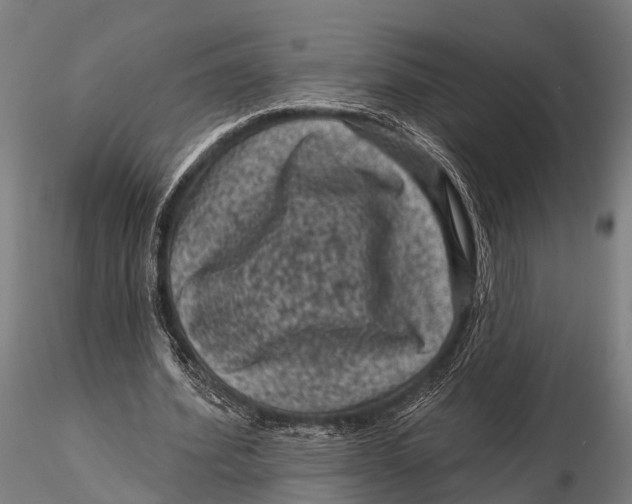 X0000116010580200912101343