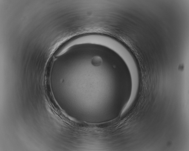 X0000116010583200912101343