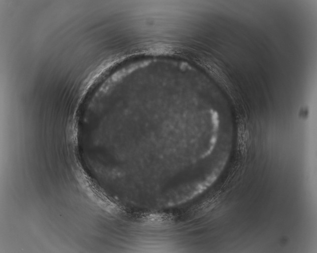 X0000116010584200912101343