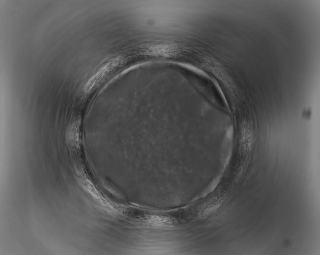 X0000116010585200912101343