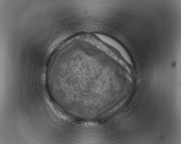 X0000116010586200912101343