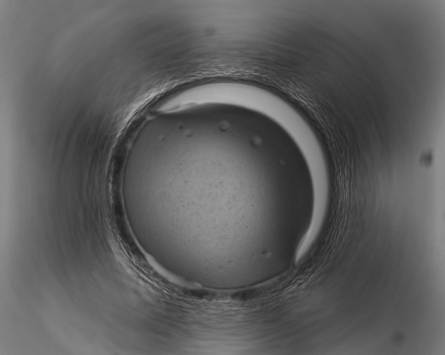 X0000116010587200912101343