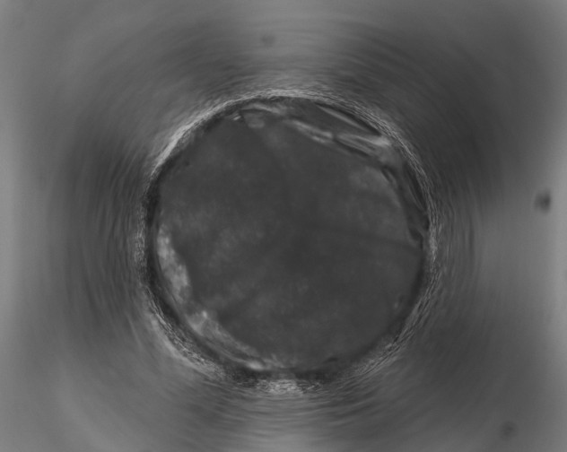 X0000116010588200912101343