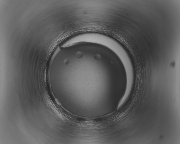 X0000116010589200912101343