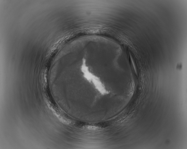 X0000116010590200912101343