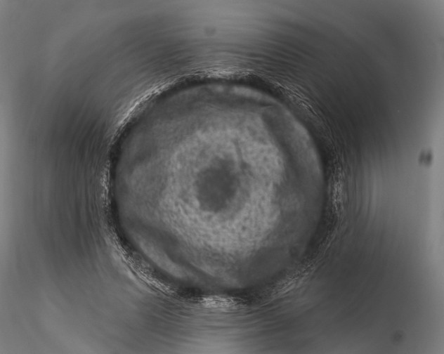 X0000116010591200912101343