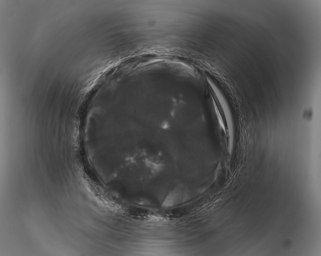 X0000116010592200912101343