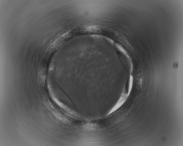 X0000116010593200912101343