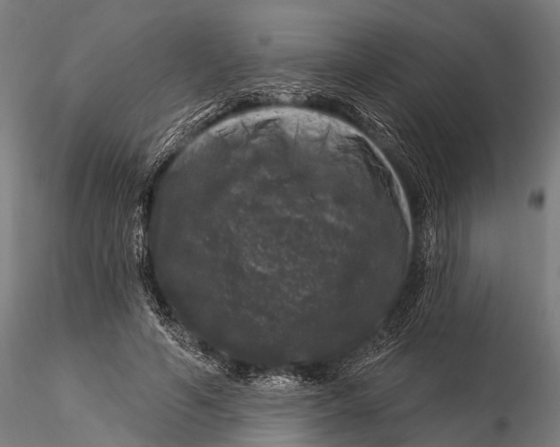 X0000116010594200912101343