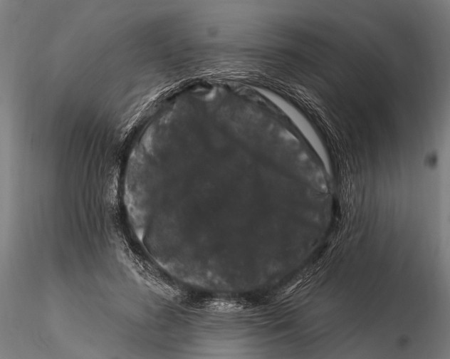 X0000116010596200912101343