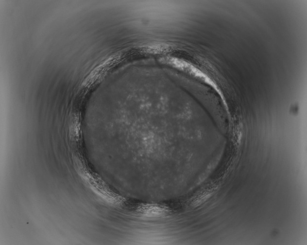 X0000116010597200912101343