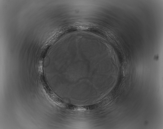 X0000116010598200912101343