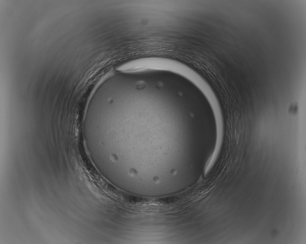 X0000116010599200912101343