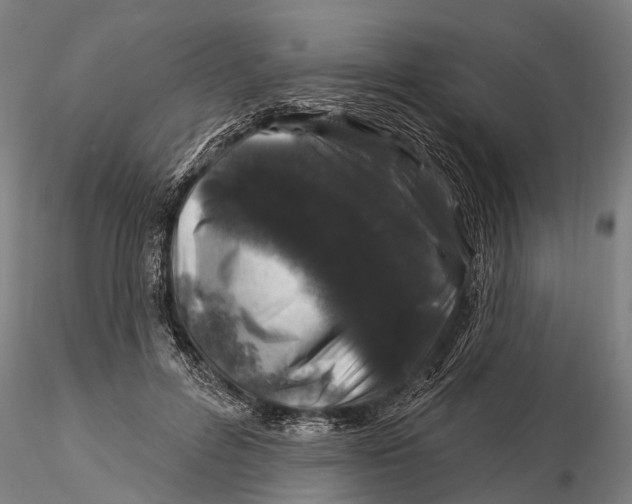 X0000116010600200912101343