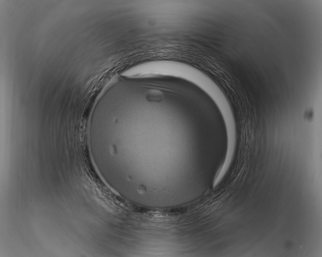 X0000116010601200912101343