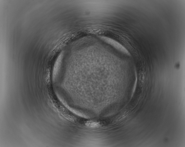 X0000116010602200912101343