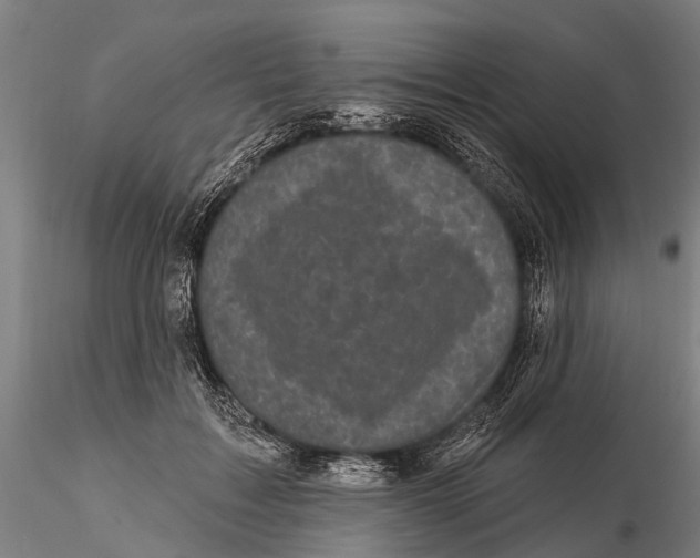 X0000116010603200912101343