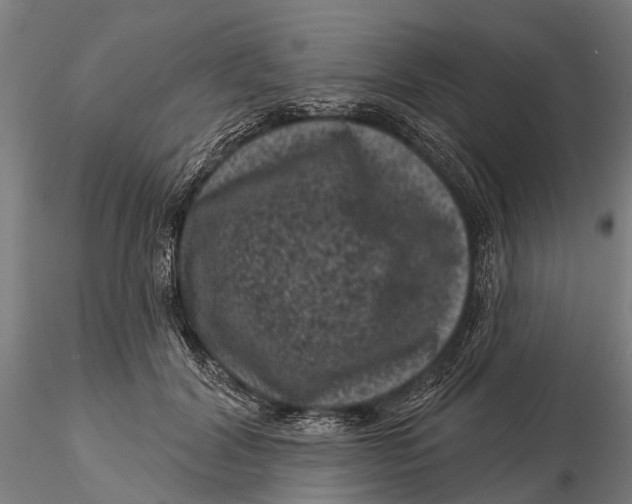 X0000116010604200912101343