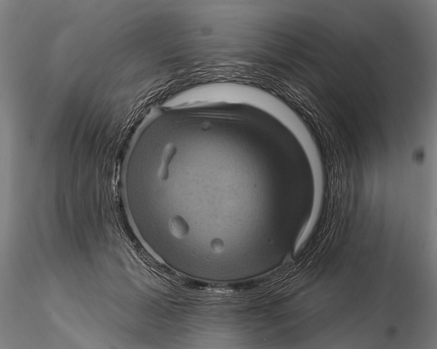 X0000116010605200912101343