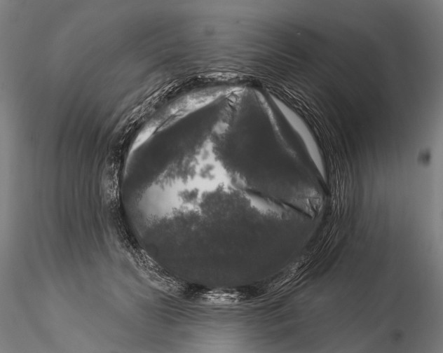 X0000116010606200912101343