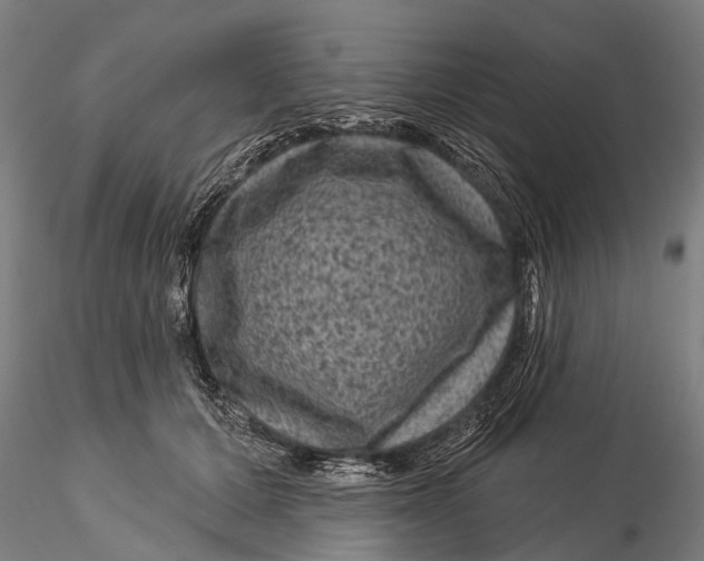 X0000116010607200912101343