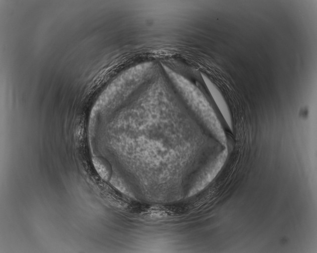 X0000116010608200912101343