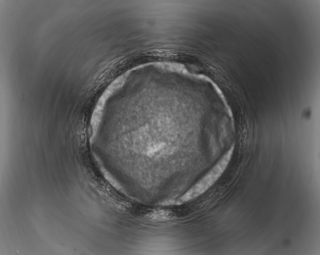 X0000116010609200912101343