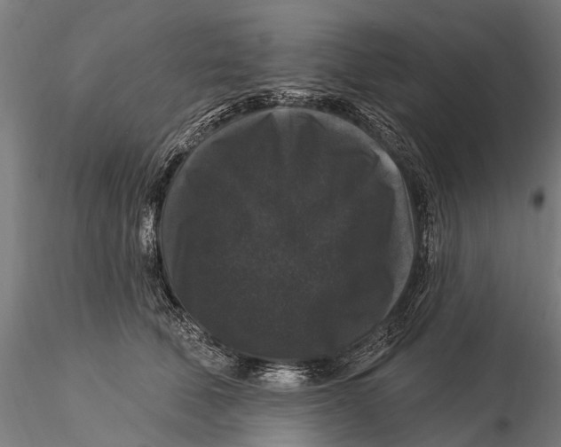 X0000116010610200912101343