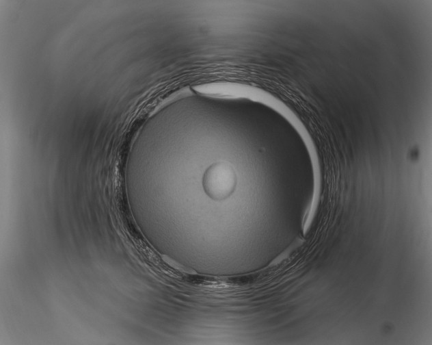 X0000116010611200912101343