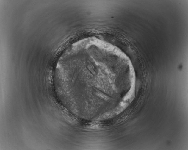 X0000116010612200912101343