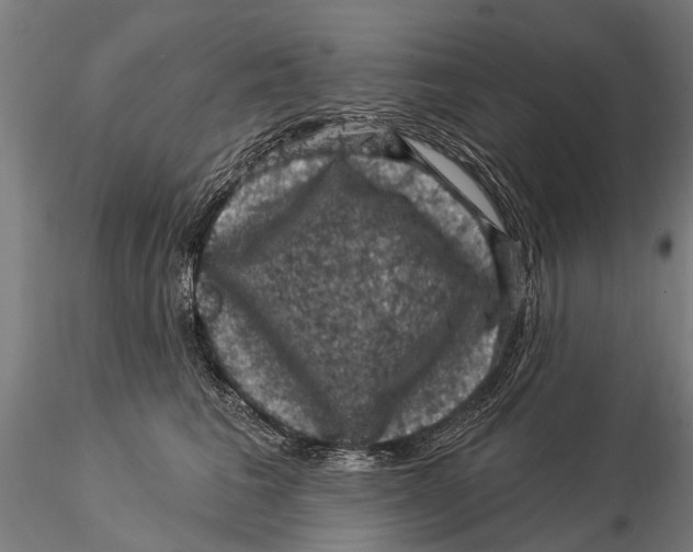 X0000116010613200912101343