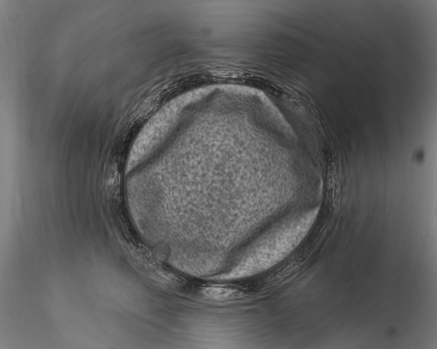 X0000116010614200912101343