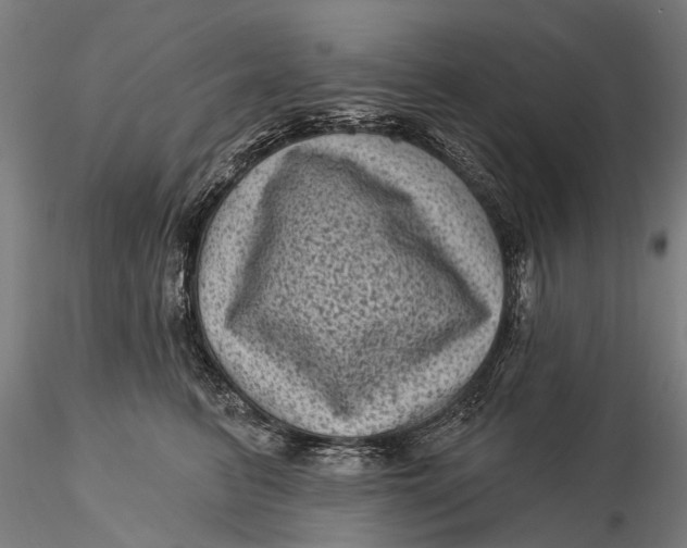 X0000116010615200912101343