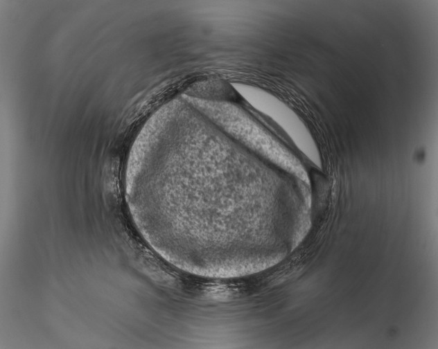 X0000116010616200912101343